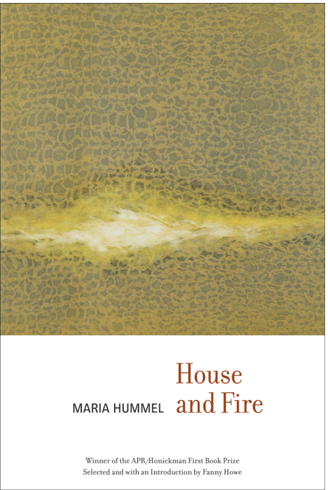 House and Fire Book Cover
