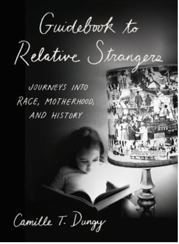 Guidebook to Relative Strangers: Journeys into Race, Motherhood, and History Book Cover