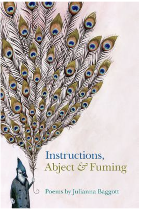 Instructions, Abject & Fuming Book Cover