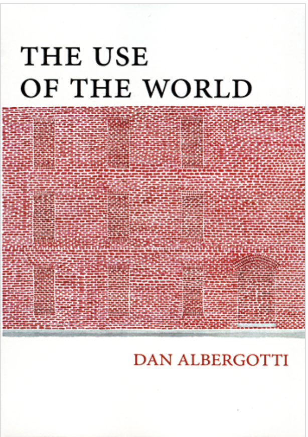 The Use of the World Book Cover