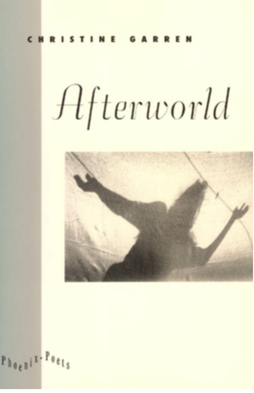 Afterworld Book Cover