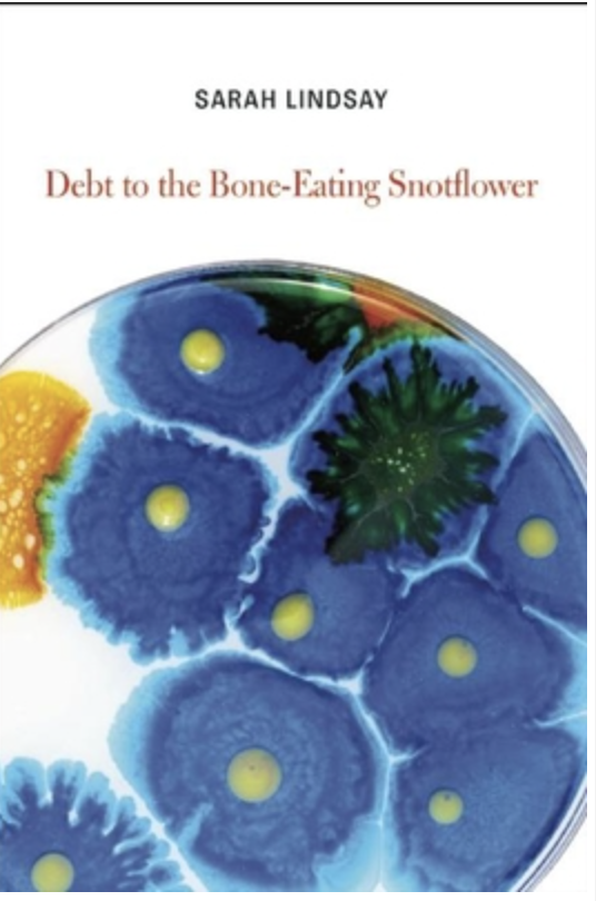 Debt to the Bone-Eating Snotflower Book Cover
