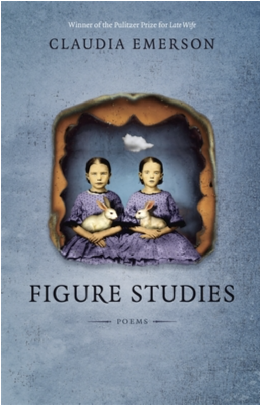 Figure Studies Book Cover