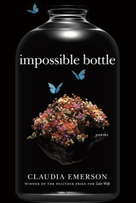 Impossible Bottle Book Cover