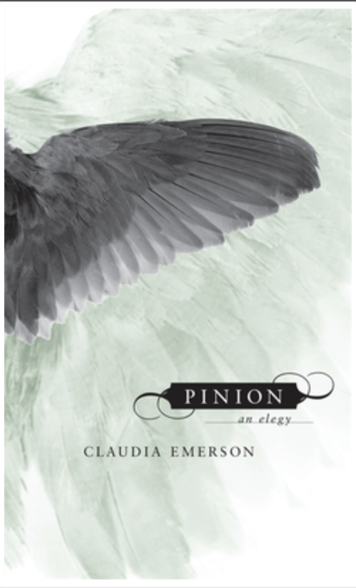Pinion: An Elegy Book Cover