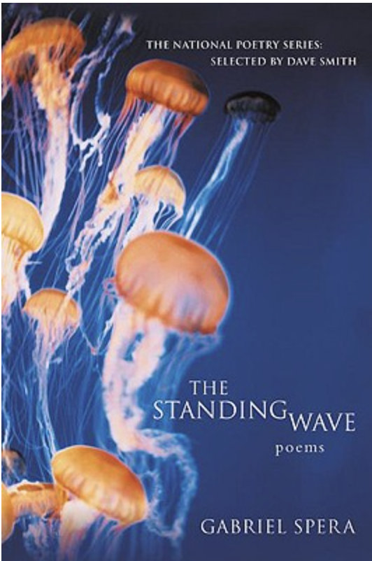 The Standing Wave Book Cover
