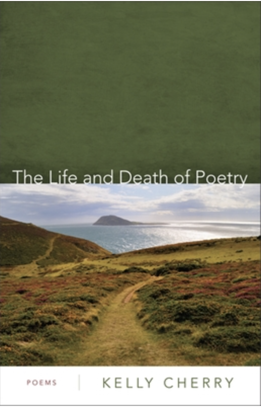 The Life and Death of Poetry Book Cover