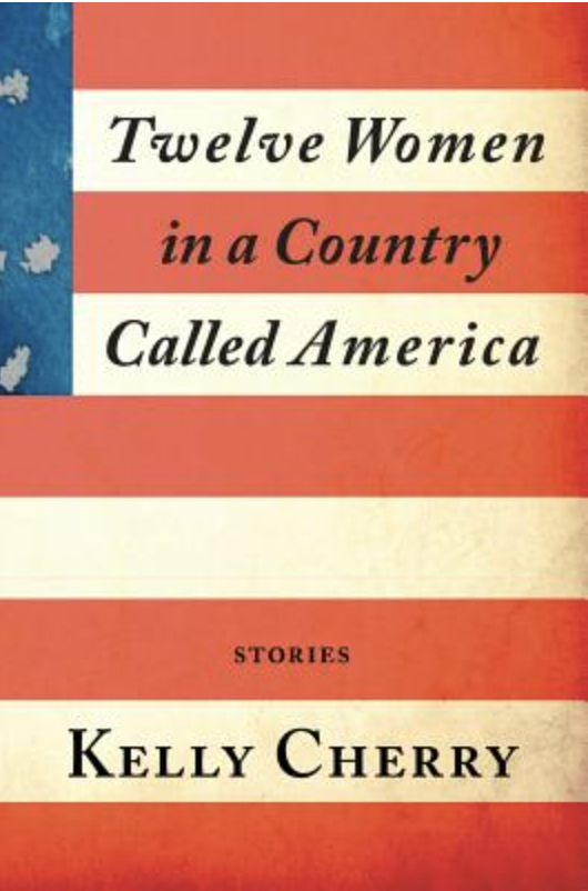 Twelve Women in a Country Called America Book Cover