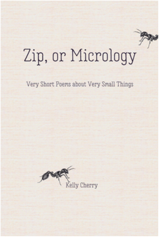 Zip, or Micrology: Very Short Poems About Very Small Things Book Cover